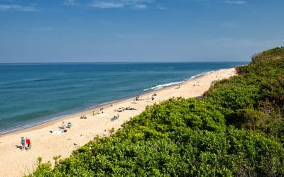 Tripps Now Reviews What Makes Massachusetts A Great Vacation Destination