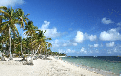 Tripps Now Reviews Aruba History Through a Local Perspective